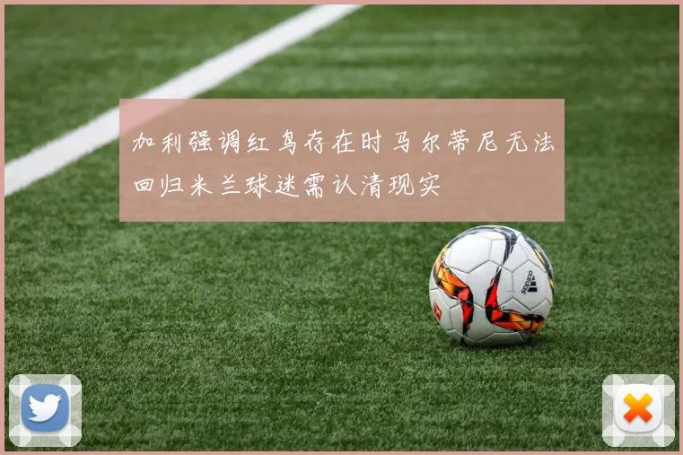 加利强调红鸟存在时马尔蒂尼无法回归米兰球迷需认清现实