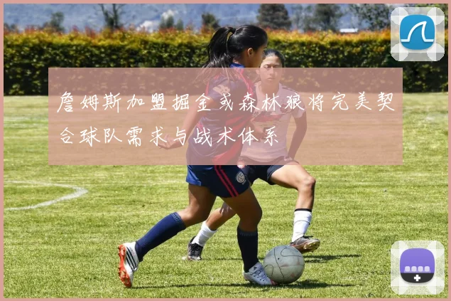 詹姆斯加盟掘金或森林狼将完美契合球队需求与战术体系